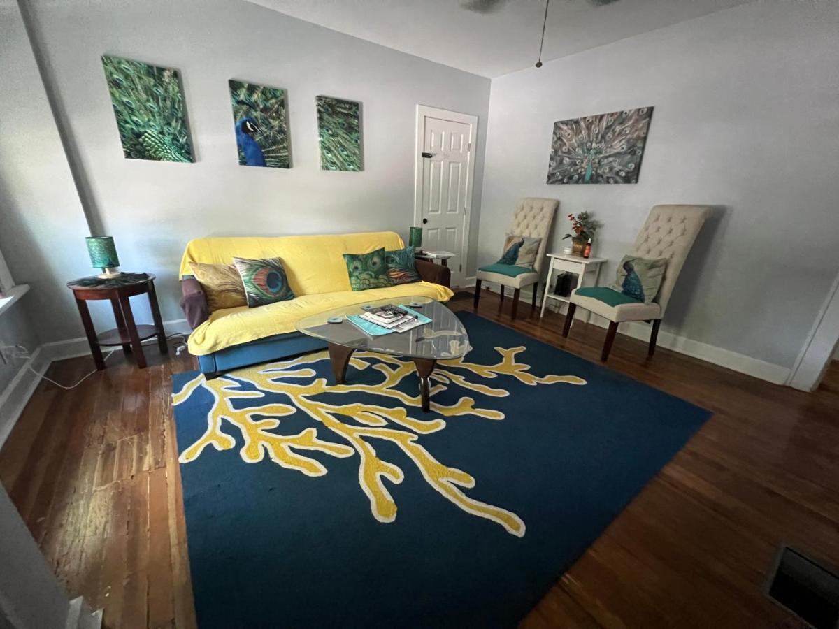 St Pete Vacation Rentals Sint-Petersburg Buitenkant foto